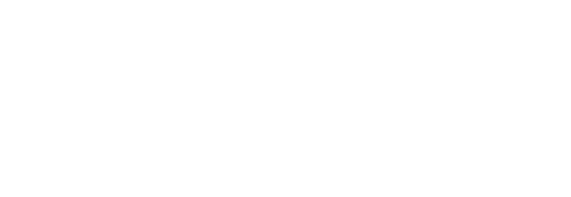 Xevo Solutions Logo